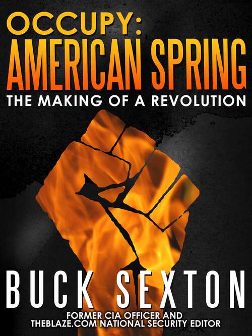 Book cover of Occupy: American Spring