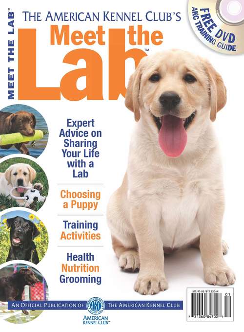 Book cover of Meet the Lab