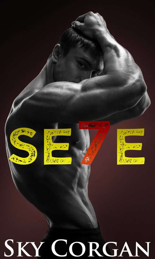 Book cover of SE7E