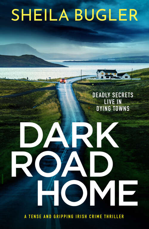 Book cover of Dark Road Home: A tense and gripping Irish crime thriller
