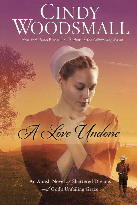Book cover of A Love Undone