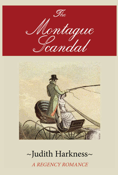 Book cover of The Montague Scandal