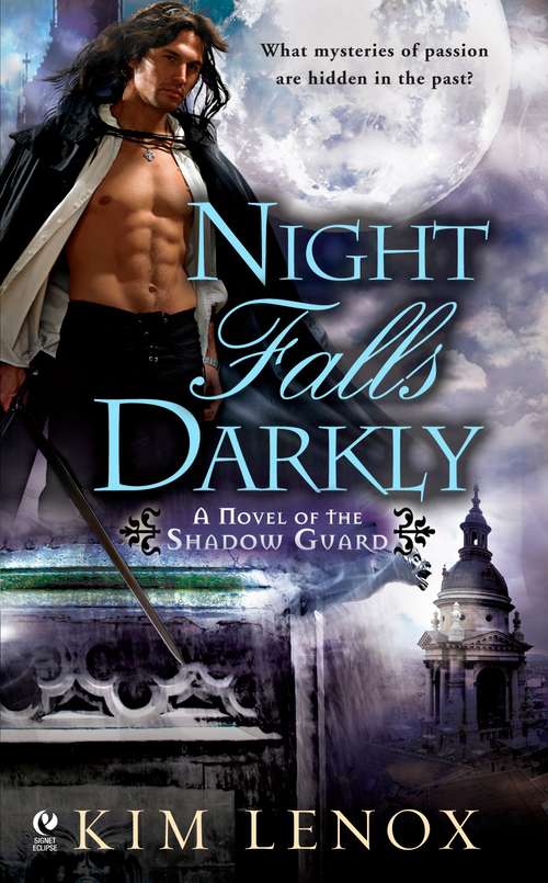 Book cover of Night Falls Darkly