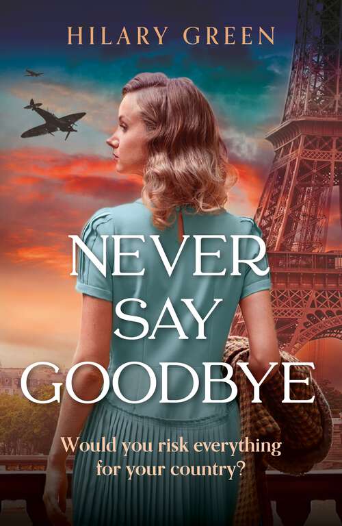 Book cover of Never Say Goodbye