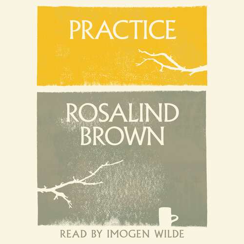 Book cover of Practice