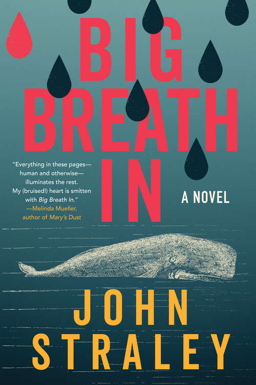 Book cover of Big Breath In