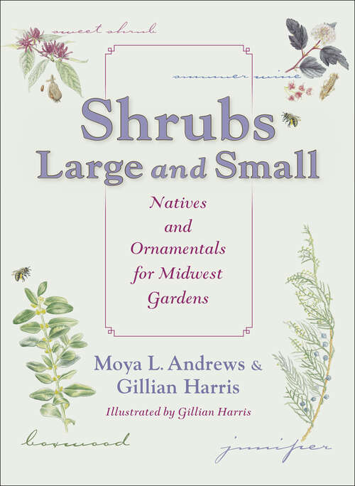 Book cover of Shrubs Large and Small: Natives and Ornamentals for Midwest Gardens