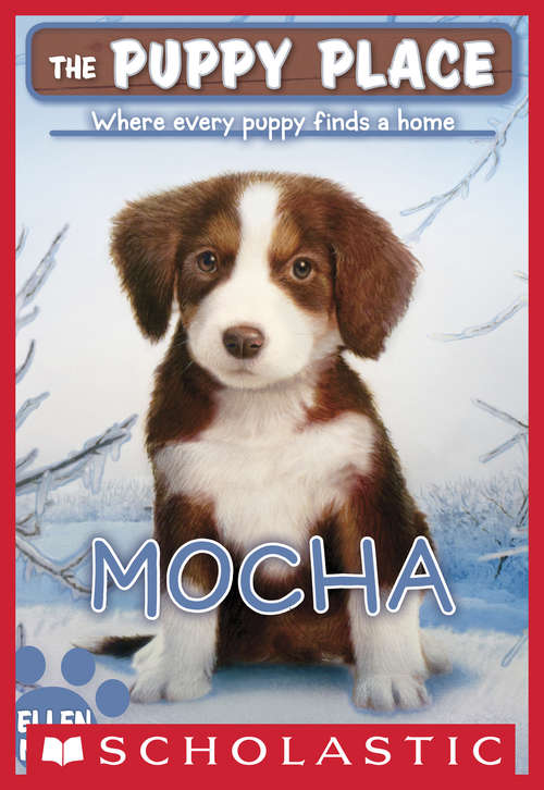 Book cover of The Puppy Place #29: Mocha