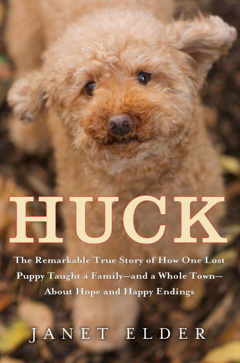Book cover of Huck