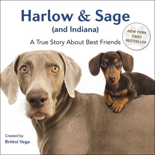 Book cover of Harlow & Sage (and Indiana)