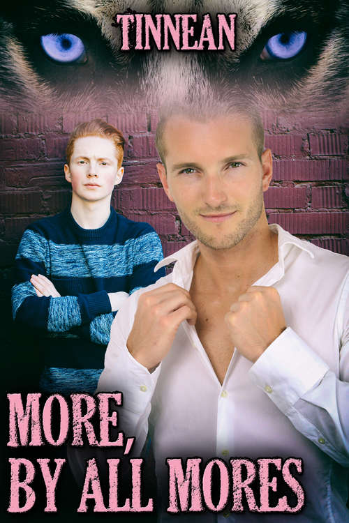 Book cover of More, by All Mores