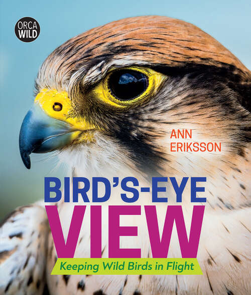 Book cover of Bird's-Eye View: Keeping Wild Birds in Flight (Orca Wild #4)