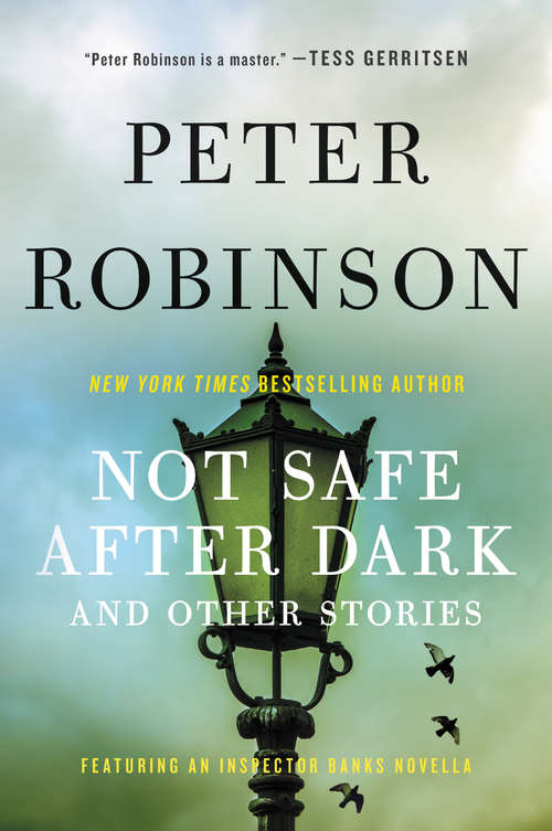 Book cover of Not Safe After Dark: And Other Stories