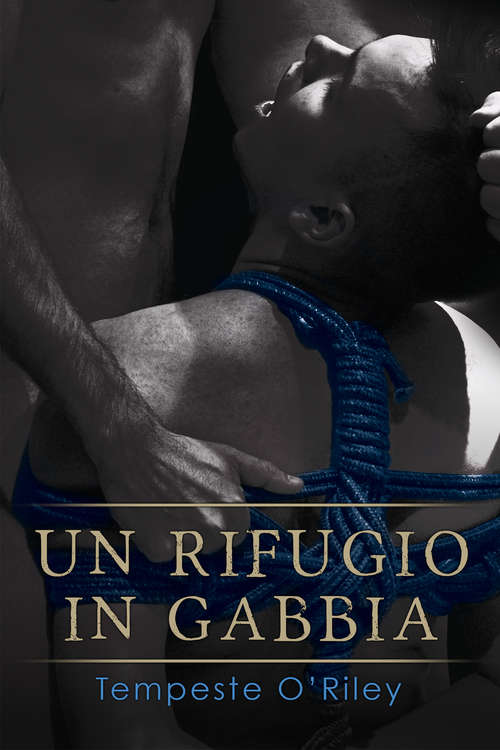 Book cover of Un rifugio in gabbia