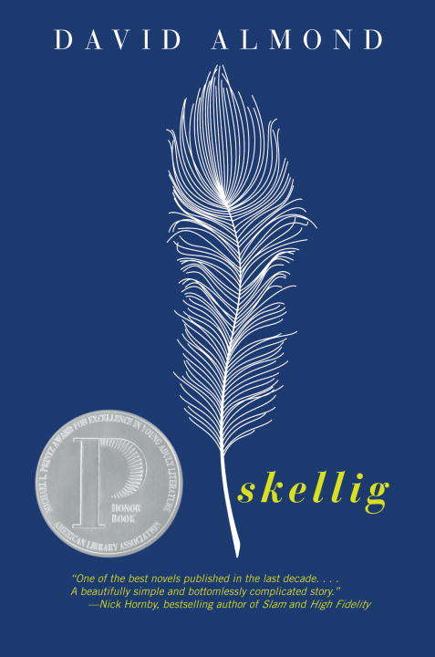 Book cover of Skellig