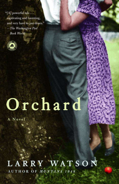 Book cover of Orchard