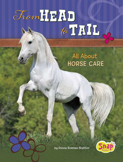 Book cover of From Head to Tail: All About Horse Care (Crazy About Horses Ser.)