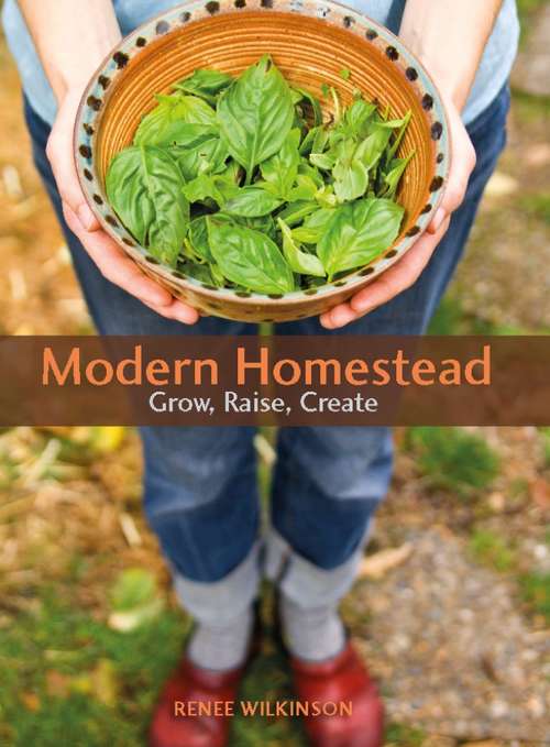 Book cover of Modern Homestead