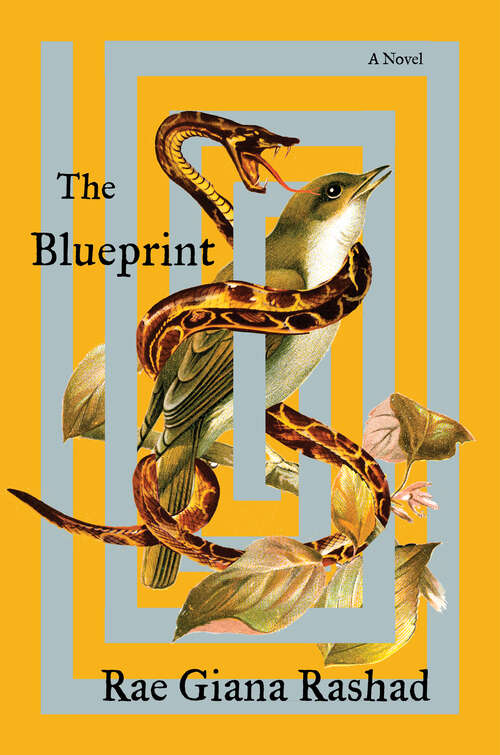 Book cover of The Blueprint: A Novel