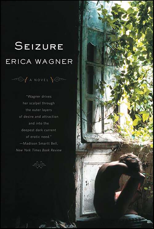 Book cover of Seizure: A Novel
