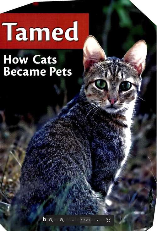 Book cover of Tamed: How Cats Became Pets (Fountas & Pinnell LLI Purple: Level S)