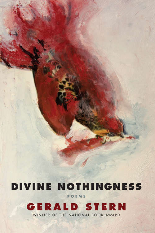 Book cover of Divine Nothingness: Poems