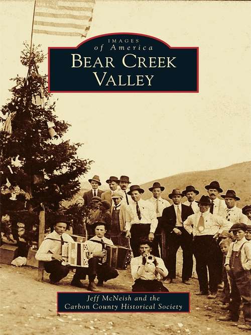 Book cover of Bear Creek Valley