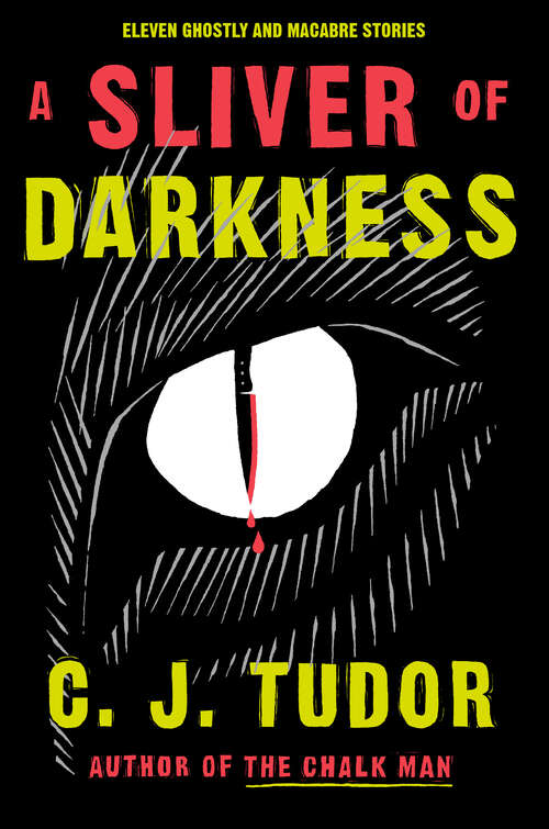 Book cover of A Sliver of Darkness: Stories