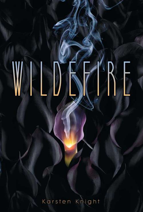 Book cover of Wildefire
