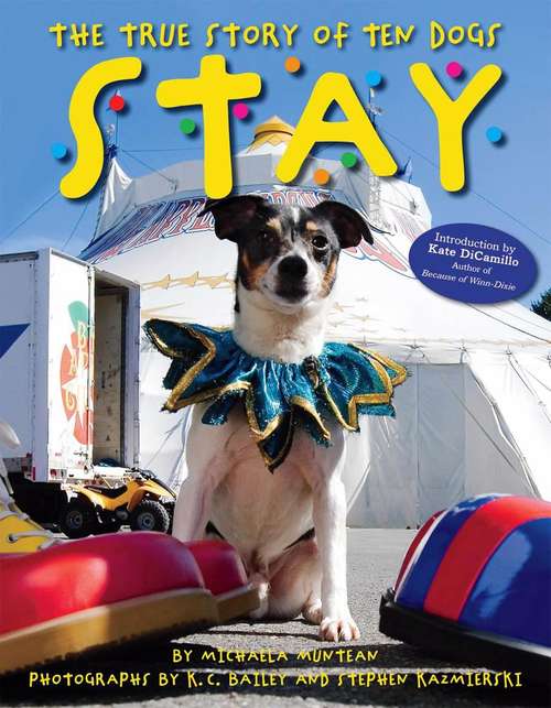 STAY: The True Story of Ten Dogs