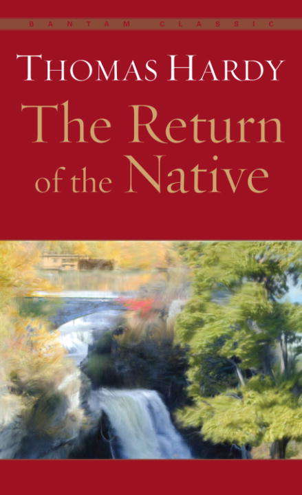 Book cover of The Return of the Native