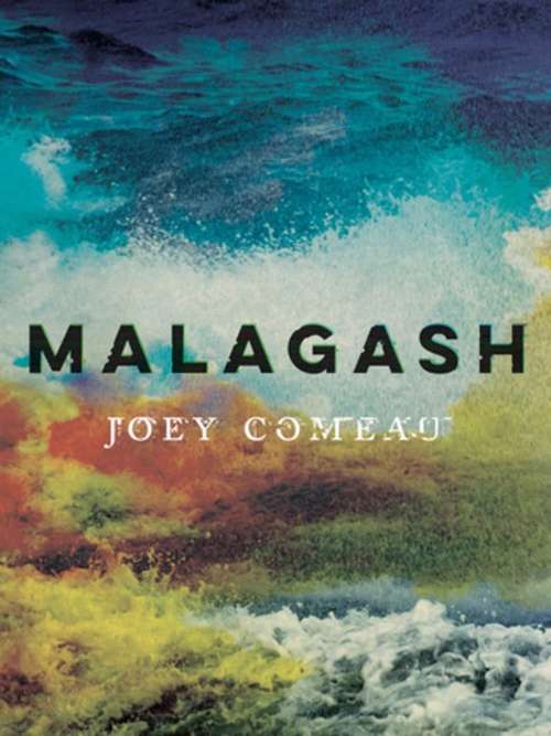 Book cover of Malagash