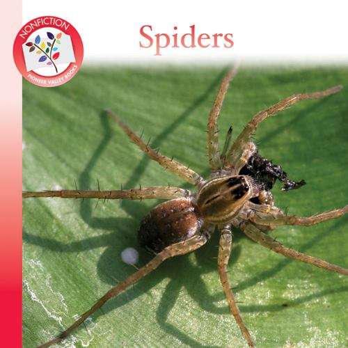 Book cover of Spiders