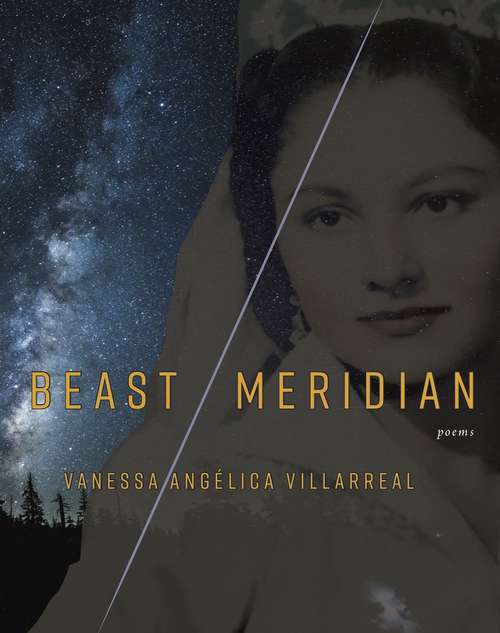 Book cover of Beast Meridian
