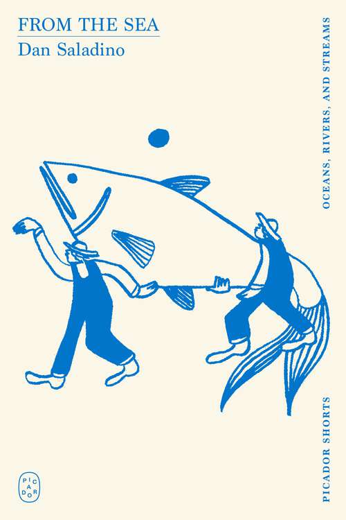 Book cover of From the Sea (Picador Shorts)