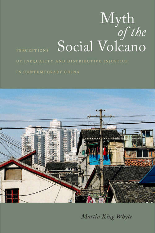 Book cover of Myth of the Social Volcano