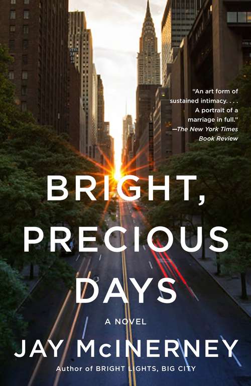 Book cover of Bright, Precious Days: A novel