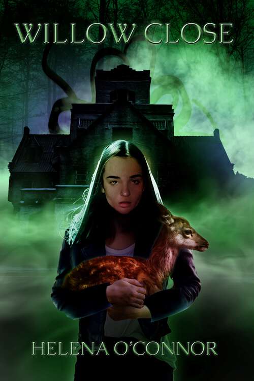 Book cover of Willow Close