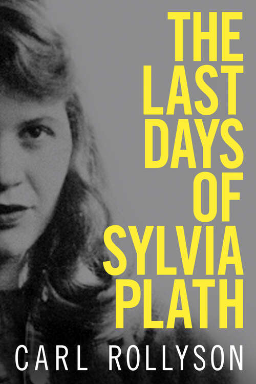 Book cover of The Last Days of Sylvia Plath (EPUB Single)