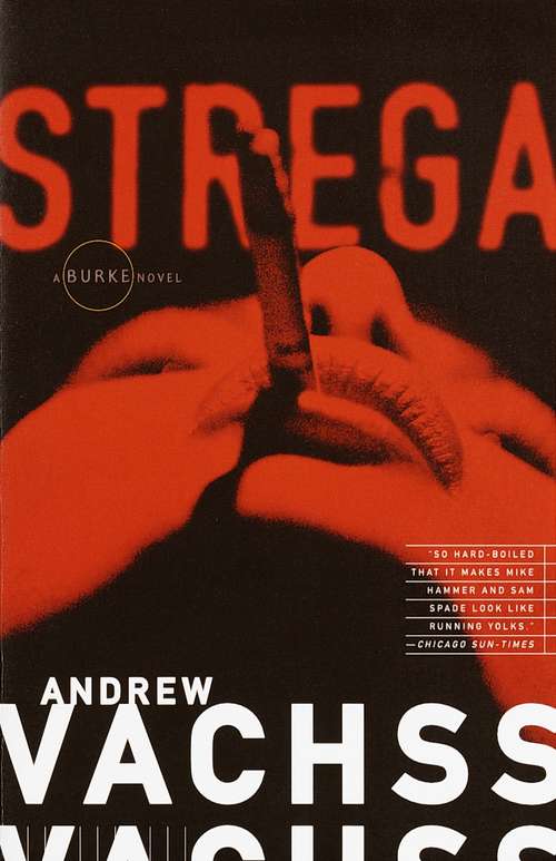Book cover of Strega (Burke Series #2)