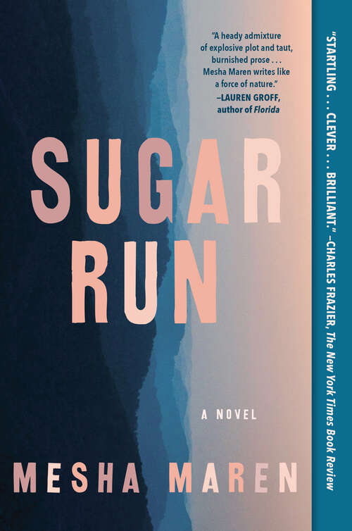 Book cover of Sugar Run: A Novel