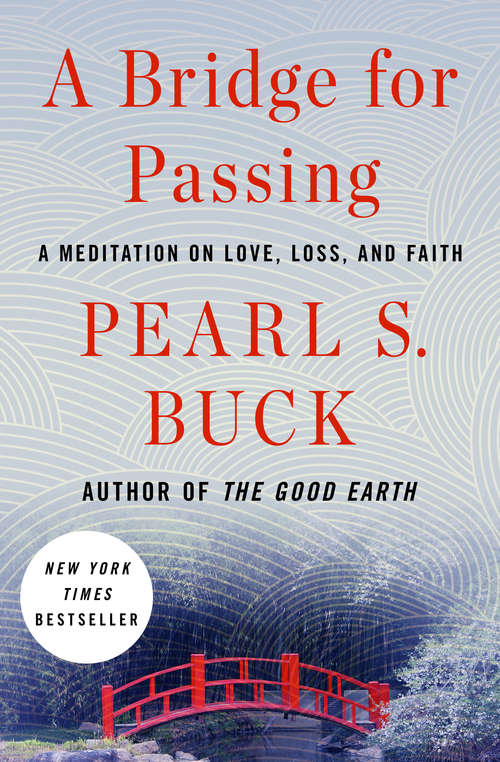 Book cover of A Bridge for Passing: A Meditation on Love, Loss, and Faith (Los Jet De Plaza Y J Series)