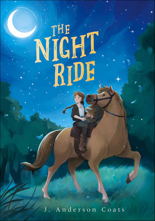 Book cover of The Night Ride