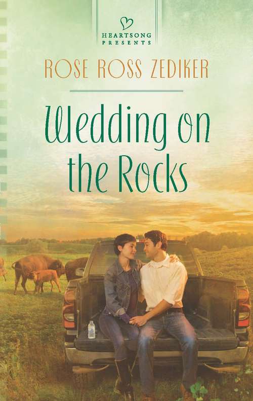 Book cover of Wedding on the Rocks