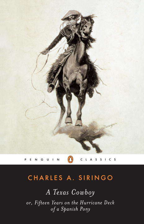 Book cover of A Texas Cowboy
