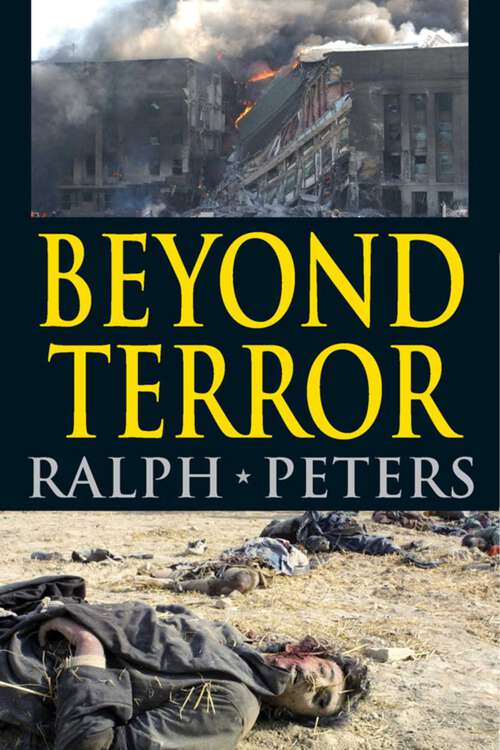 Book cover of Beyond Terror