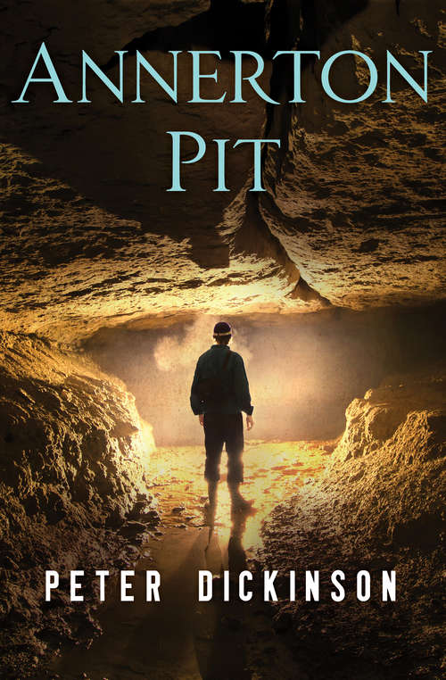 Book cover of Annerton Pit