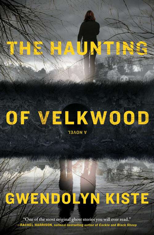 Book cover of The Haunting of Velkwood
