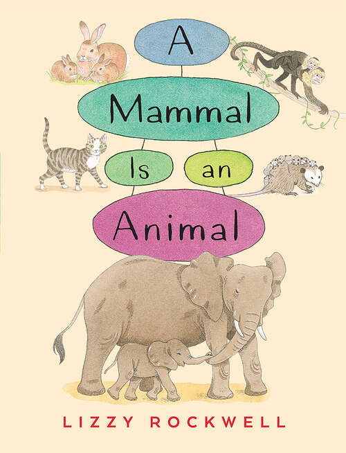 Book cover of A Mammal is an Animal