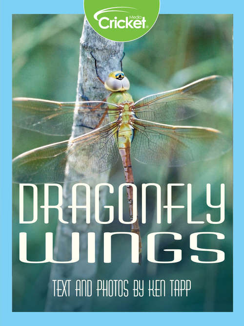 Book cover of Dragonfly Wings